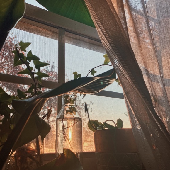 ⋒ let’s be friends ⋒ - Picture 3 of 7